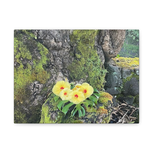 Floral Matte Canvas Art - Yellow Orchid and Moss Decor