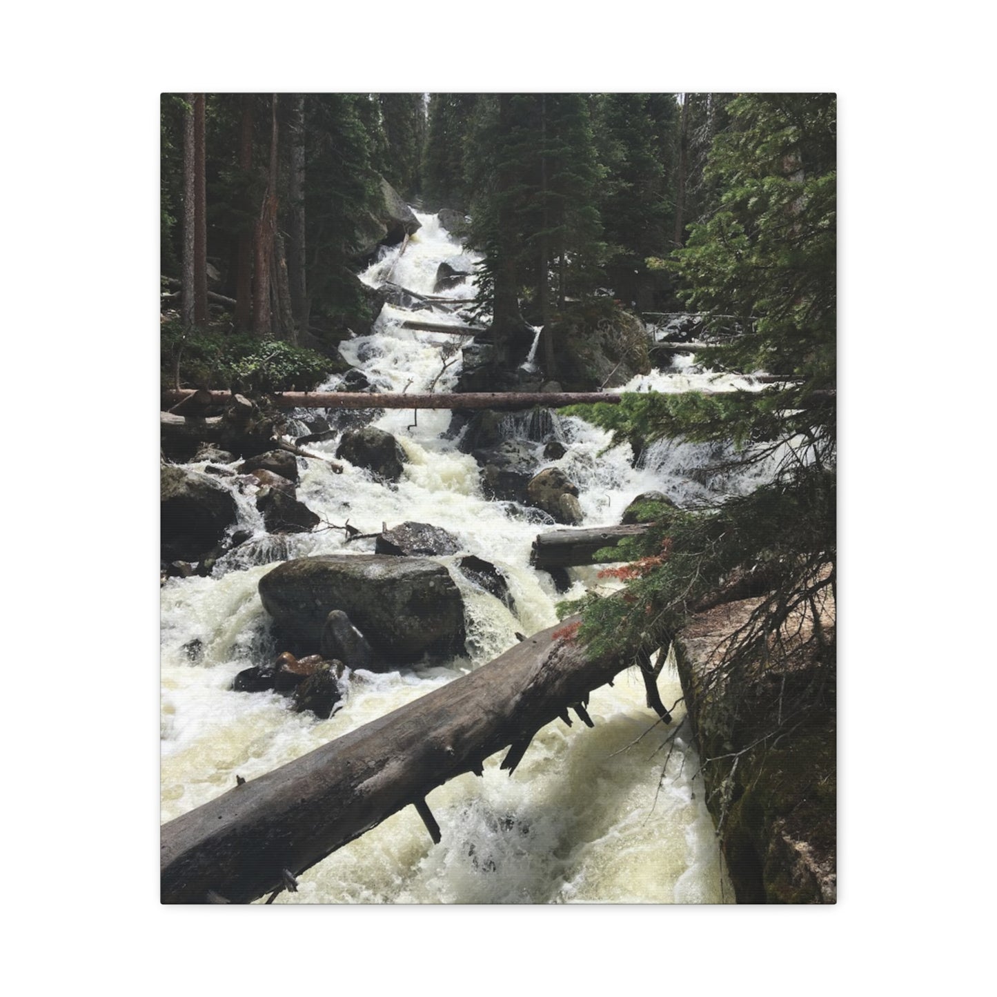 Nature Waterfall Canvas Art - Stretched Matte Wall Decor