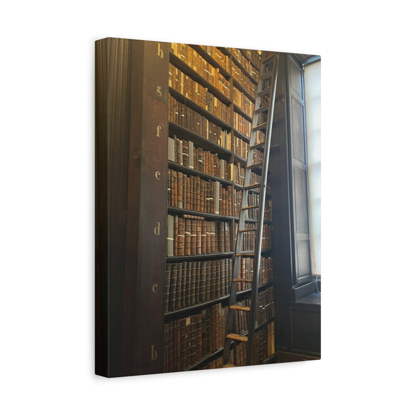 Library Wall Art | Vintage Bookcase Canvas Print - Trinity College Long Room