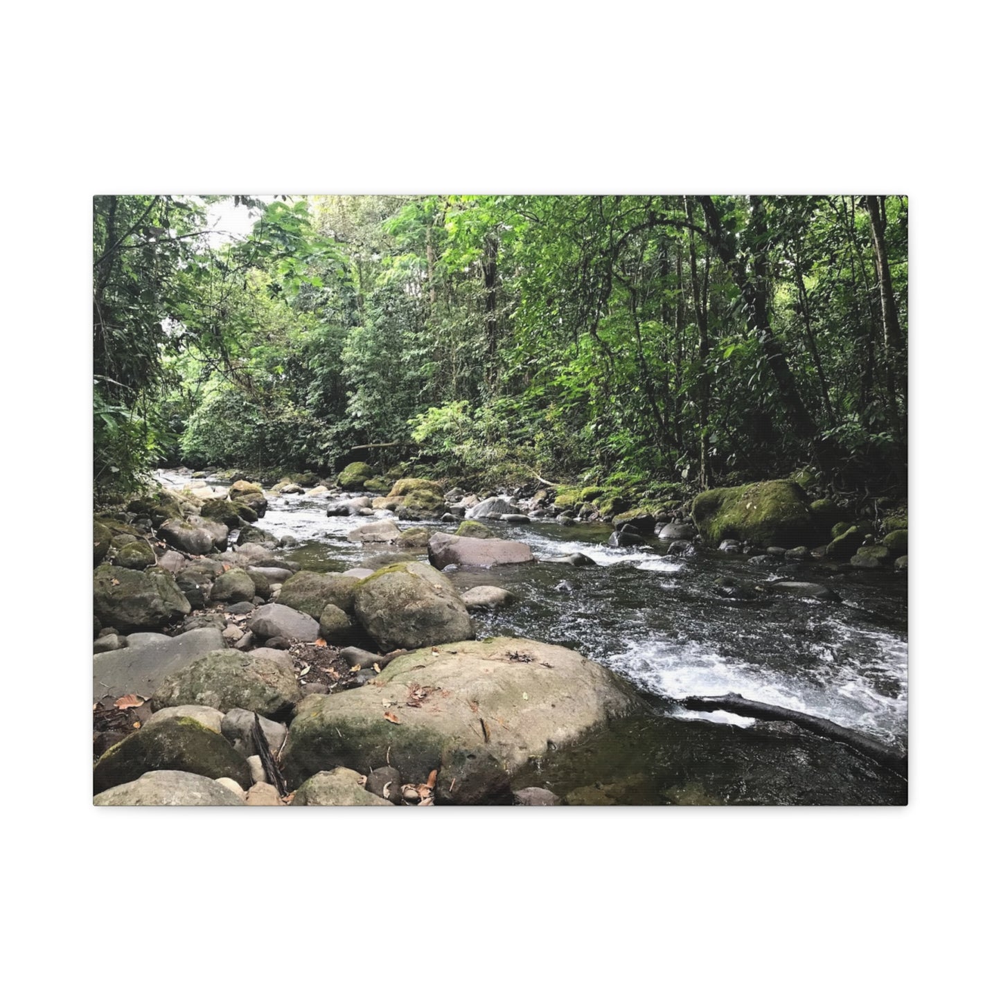 Serene Nature Canvas Wall Art – Tranquil River Landscape, 1.25" Stretched Print
