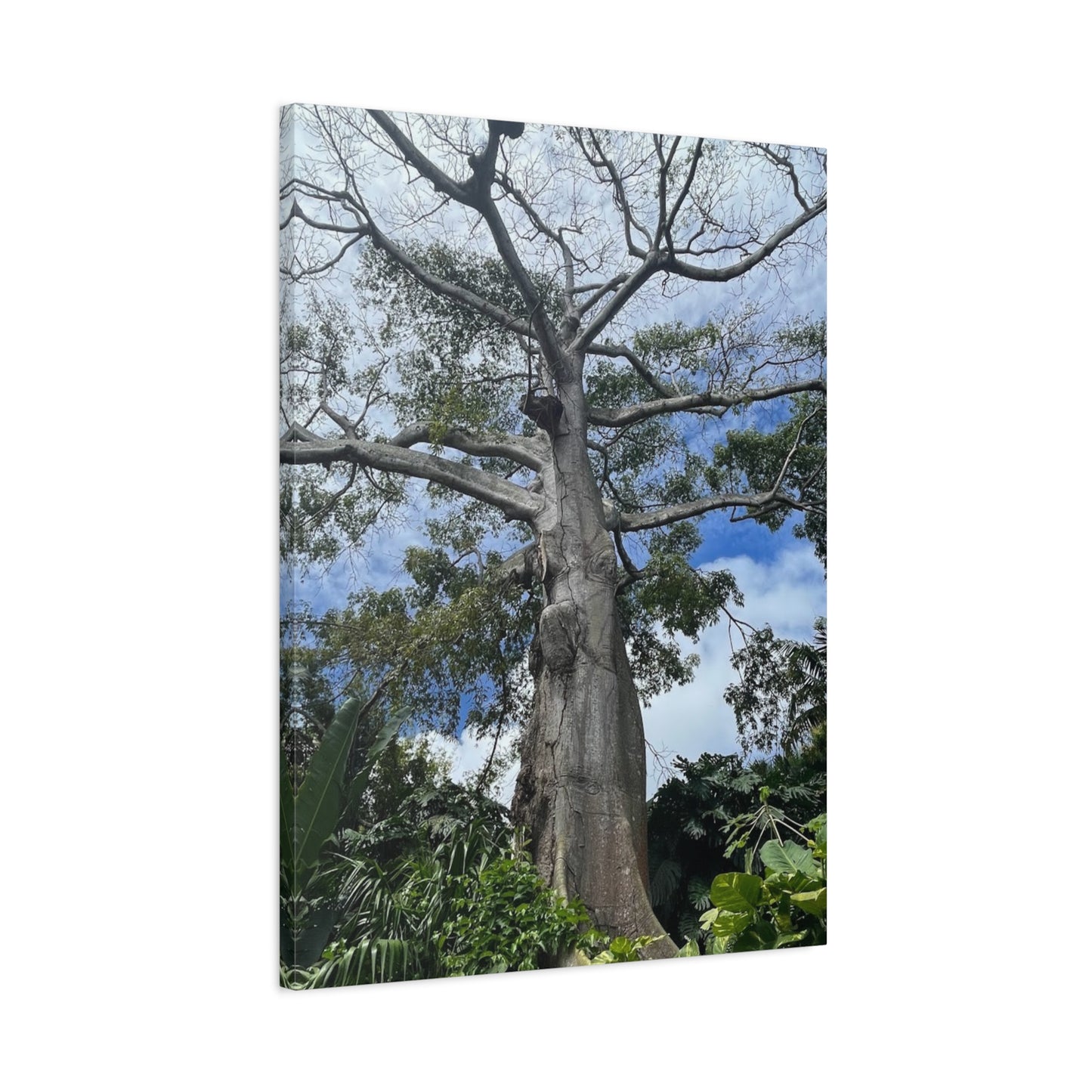 Stretched Canvas Art - Majestic Tree Wall Decor for Nature Lovers