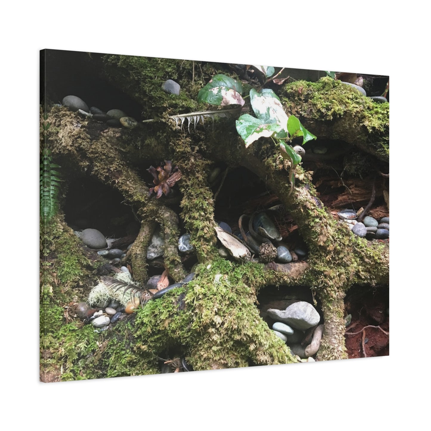 Nature-Inspired Matte Canvas Wall Art - Serene Root and Stone Design
