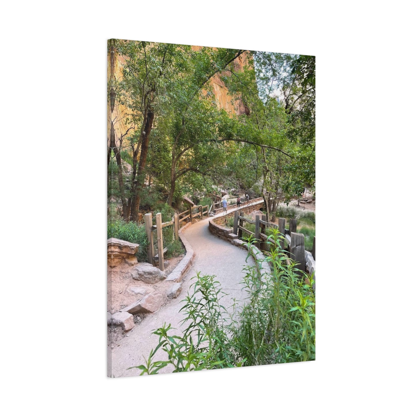Nature Path Matte Canvas Wall Art - Scenic Landscape Decor