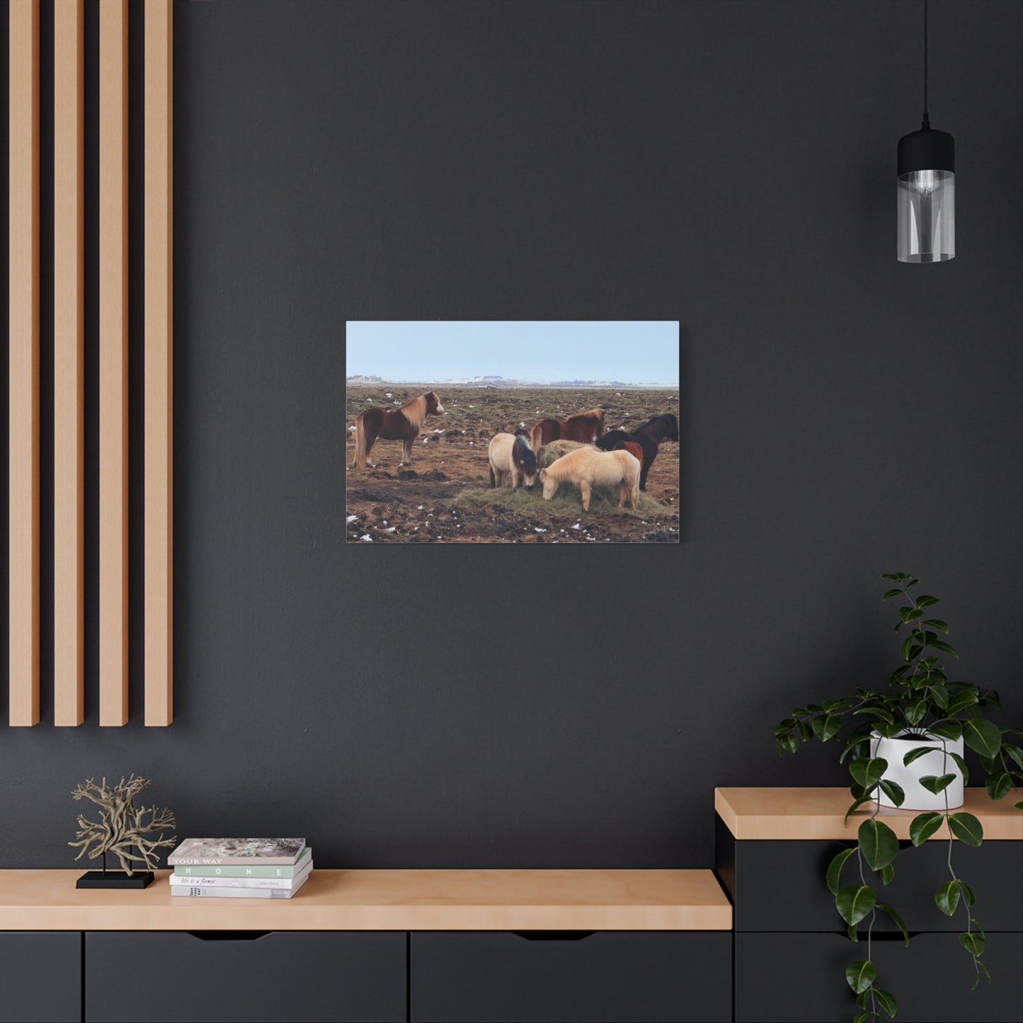 Icelandic Horse Canvas Art - Matte Stretched Print for Animal Lovers