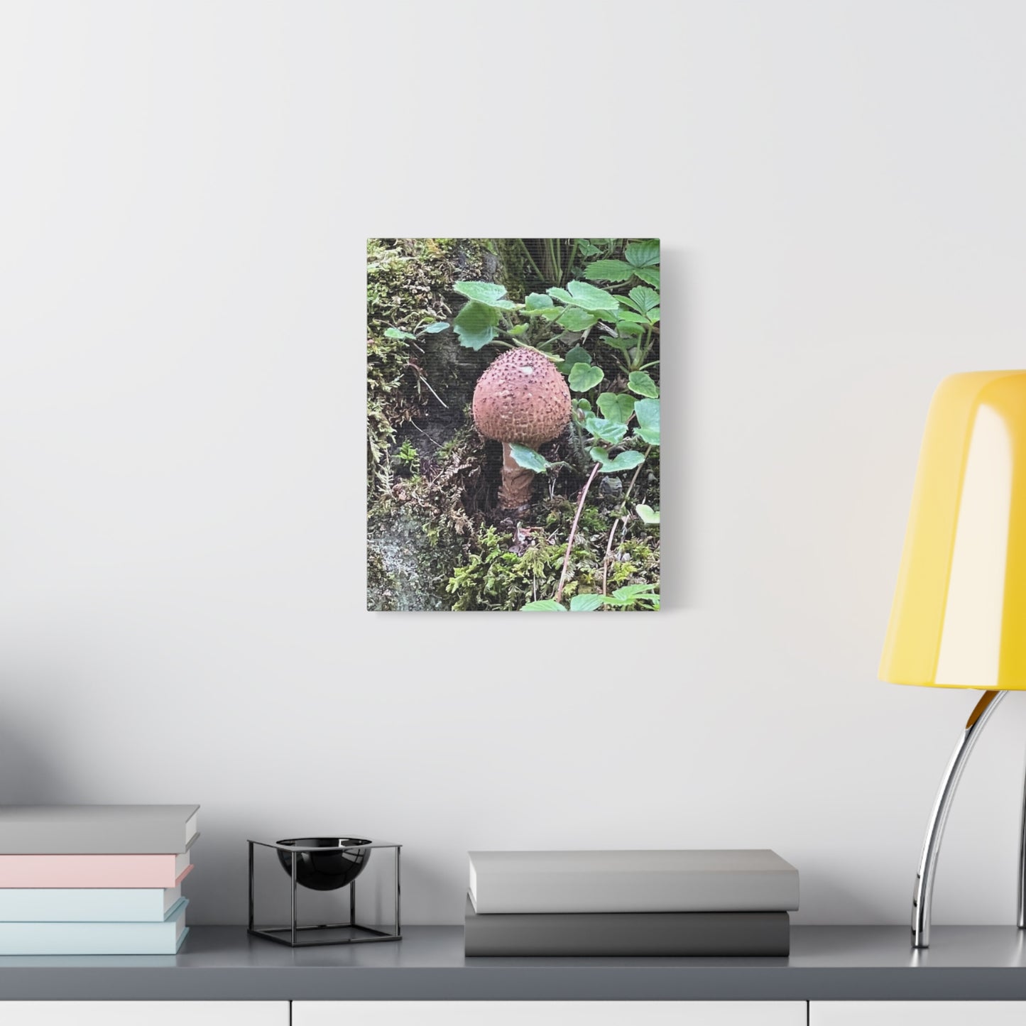 Nature-Inspired Mushroom Canvas Print - 1.25" Stretched Wall Art