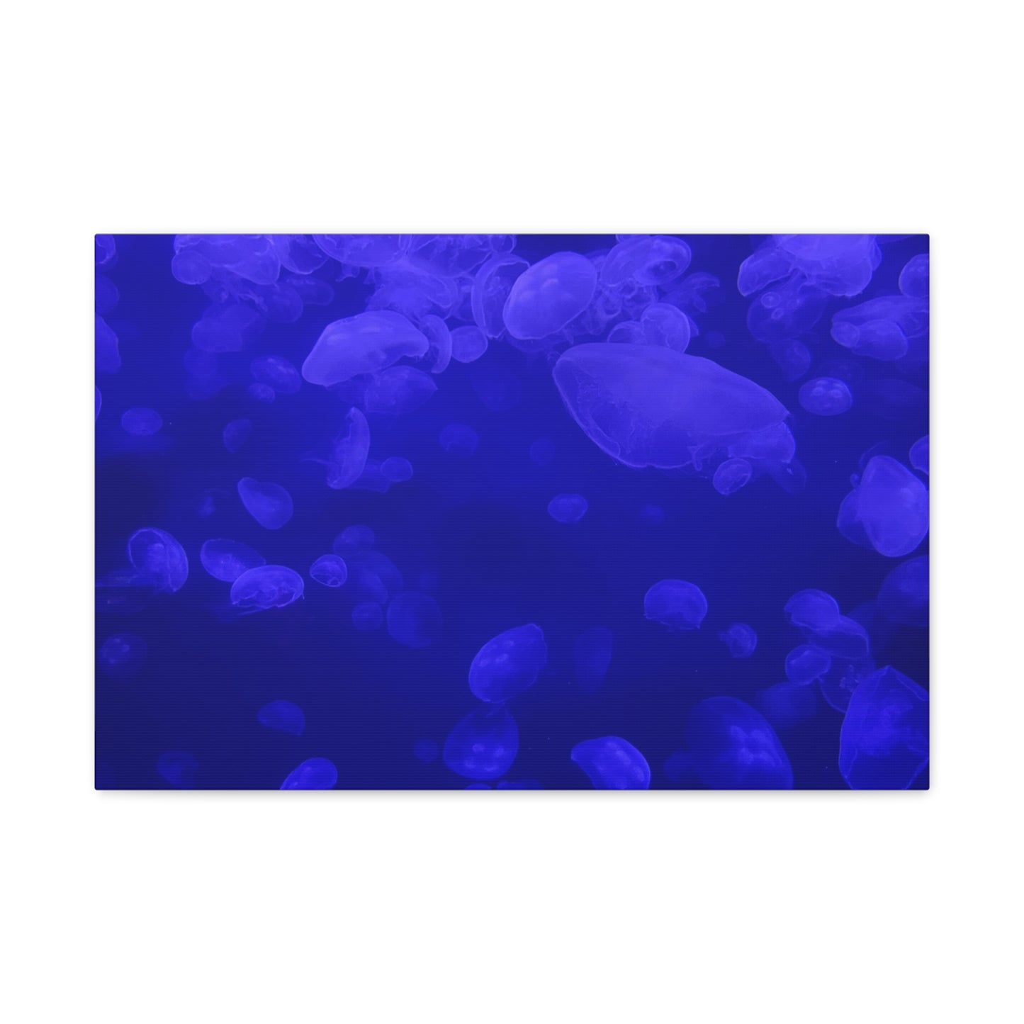 Jellyfish Watercolor Canvas Art - Ocean Theme Wall Decor