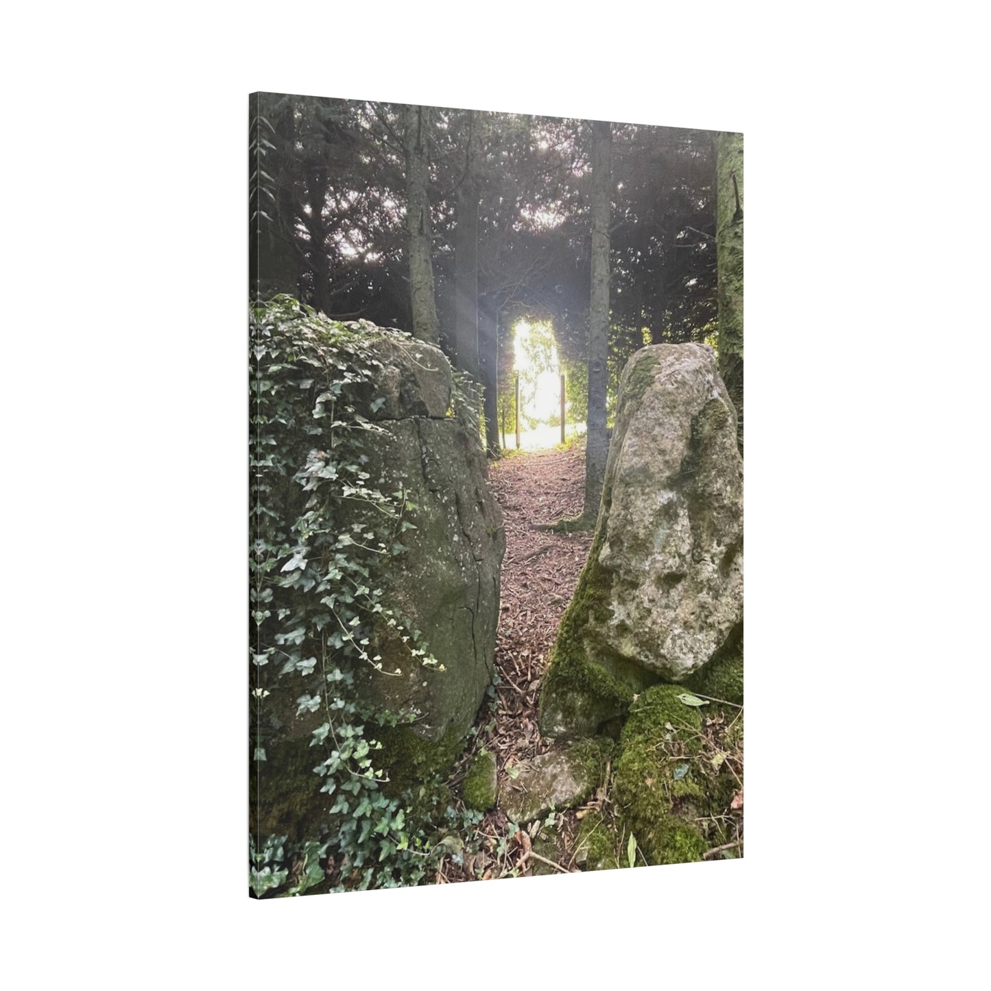 Serene Nature Wall Art Canvas – Tranquil Forest Scene for Home Decor