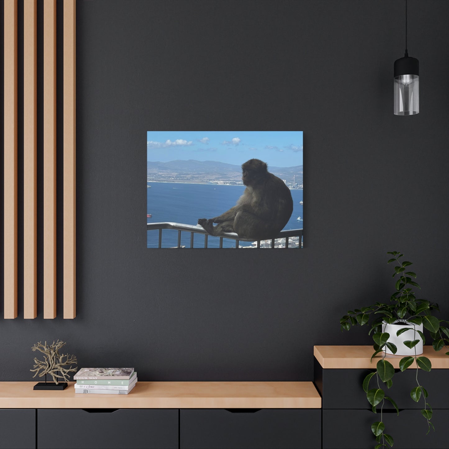 Monkey by the Sea Canvas Art - Relaxing Coastal Wall Decor Gibraltar