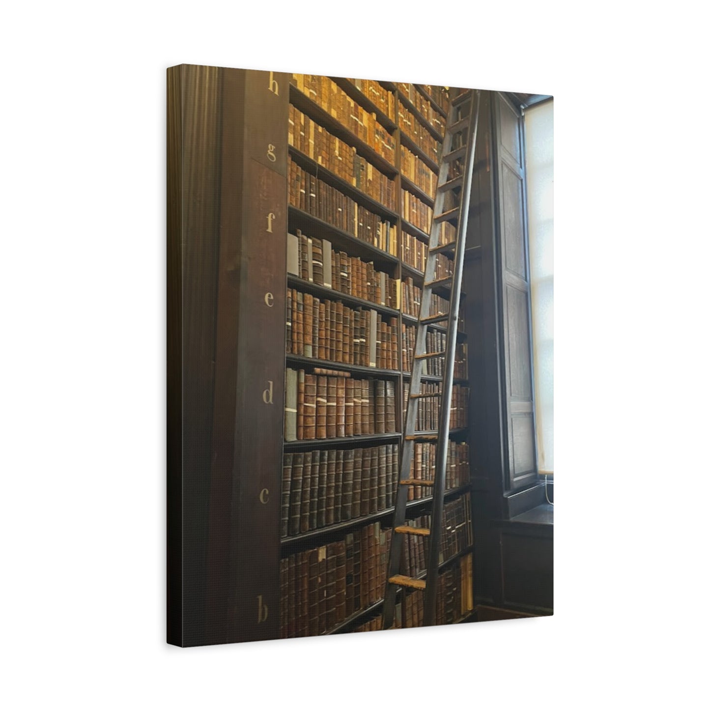 Library Wall Art | Vintage Bookcase Canvas Print - Trinity College Long Room