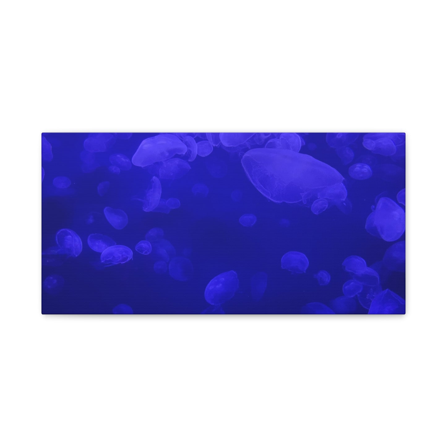 Jellyfish Watercolor Canvas Art - Ocean Theme Wall Decor