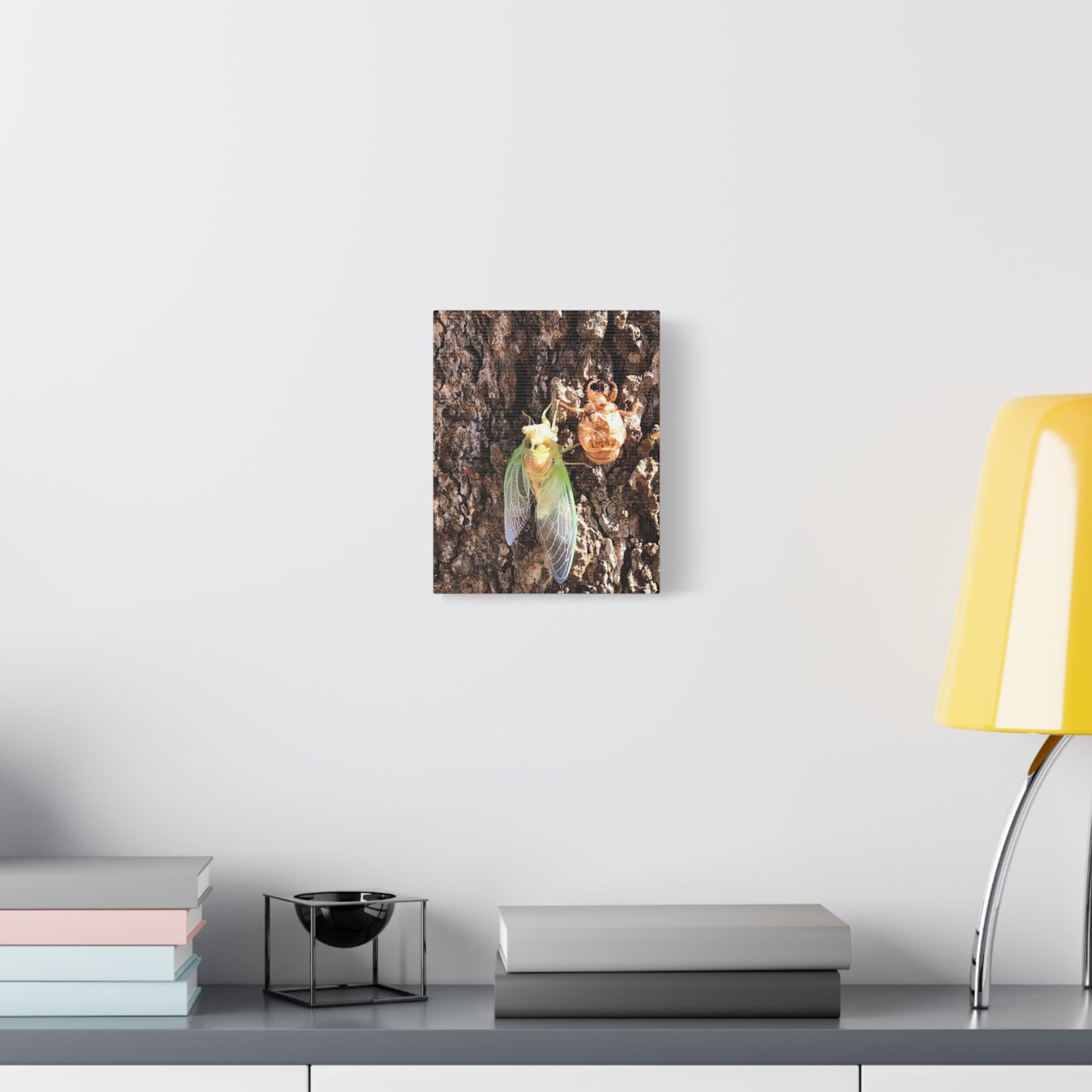 Nature-Inspired Wall Art: Cicada Lifecycle Canvas Print