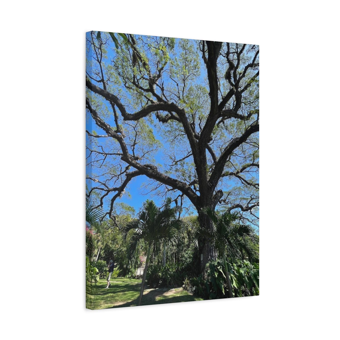Nature-Inspired Stretched Canvas Art - Large Tree Print