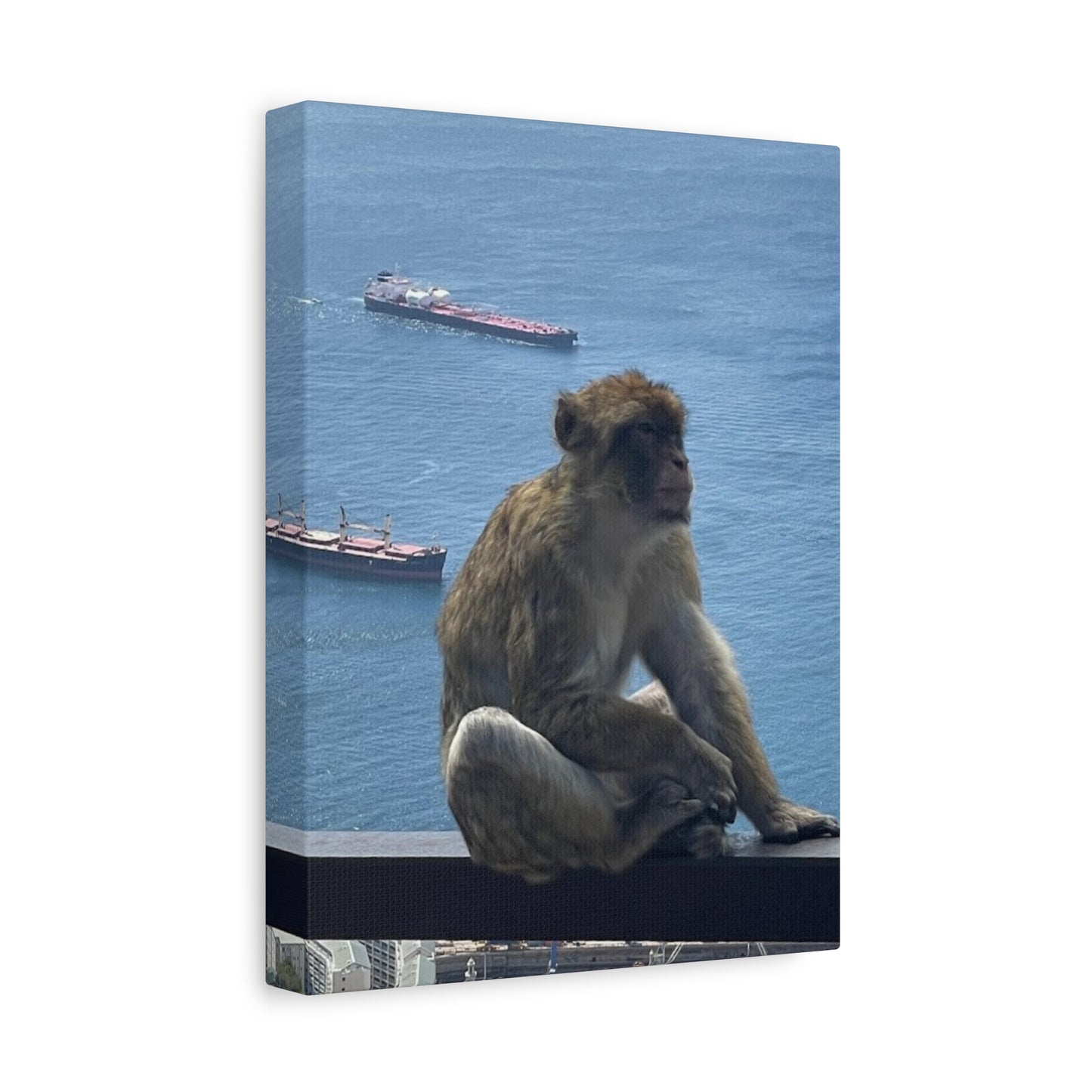 Monkeys by the Sea Canvas Art Print - Relaxing Coastal Decor Gibraltar