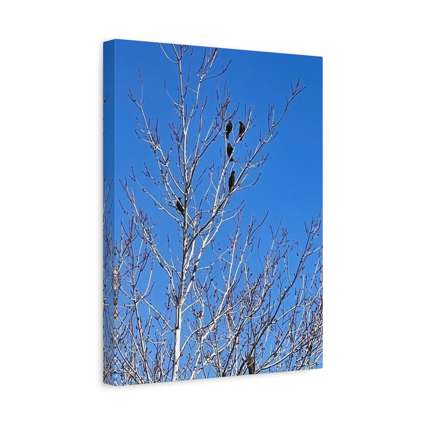 Serene Bird Canvas Wall Art - Tranquil Nature Decor for Home and Office