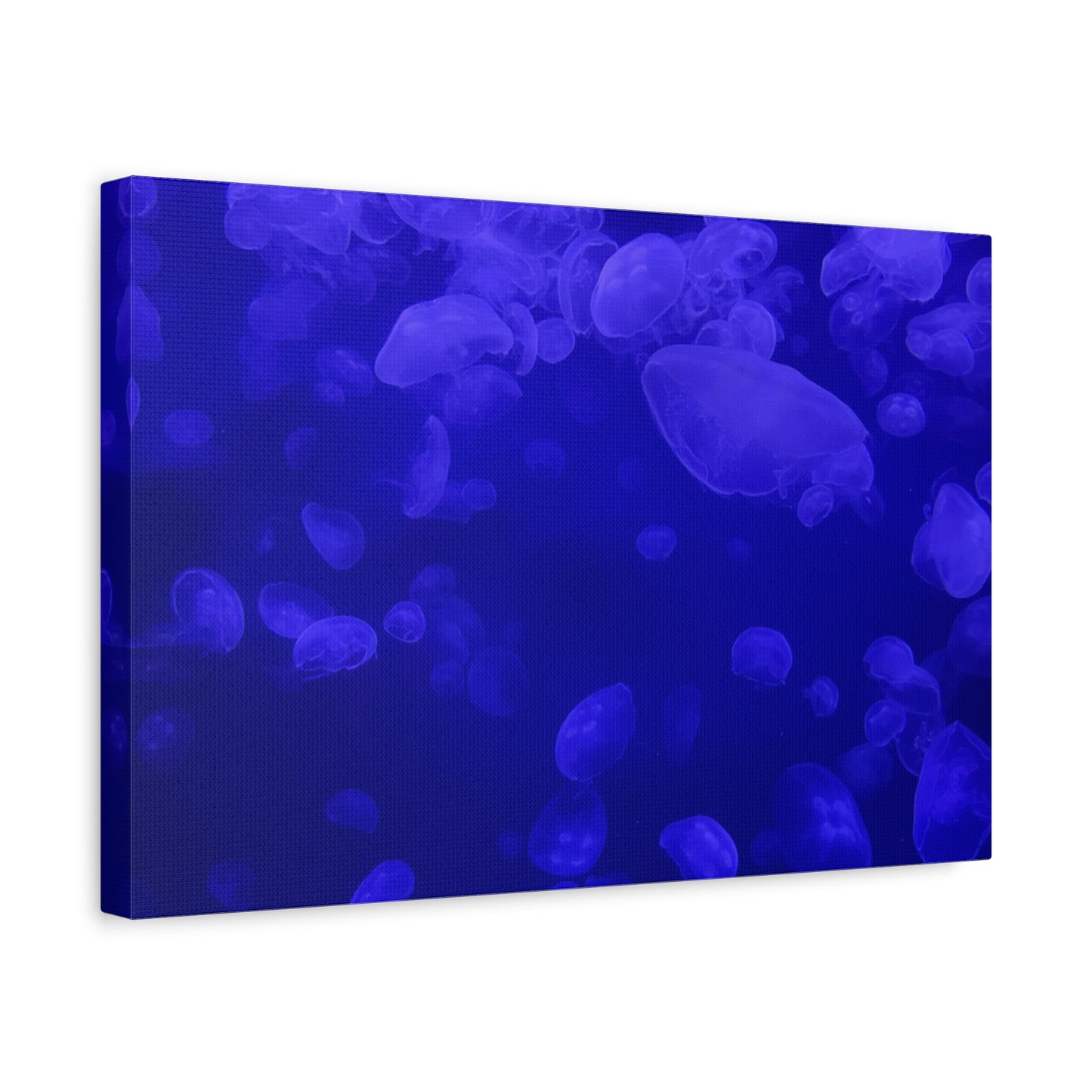 Jellyfish Watercolor Canvas Art - Ocean Theme Wall Decor