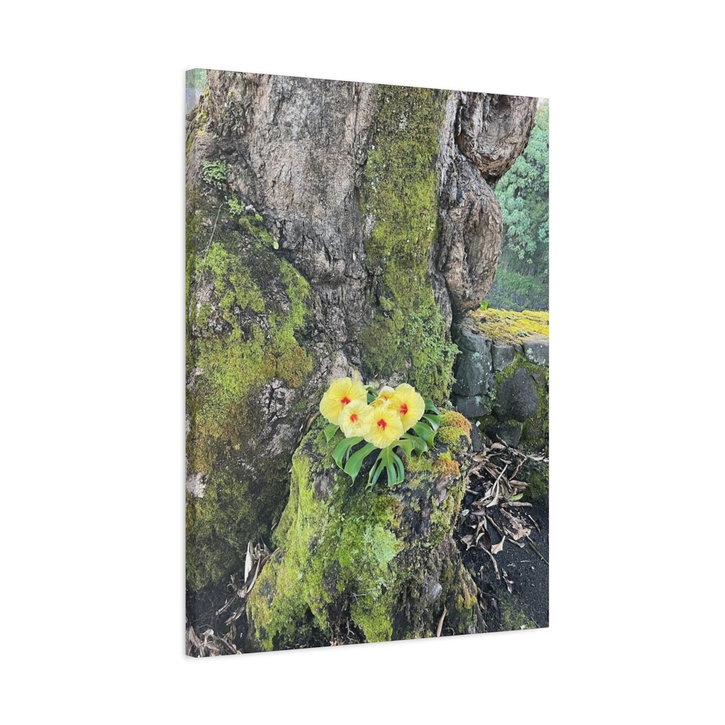 Floral Matte Canvas Art - Yellow Orchid and Moss Decor