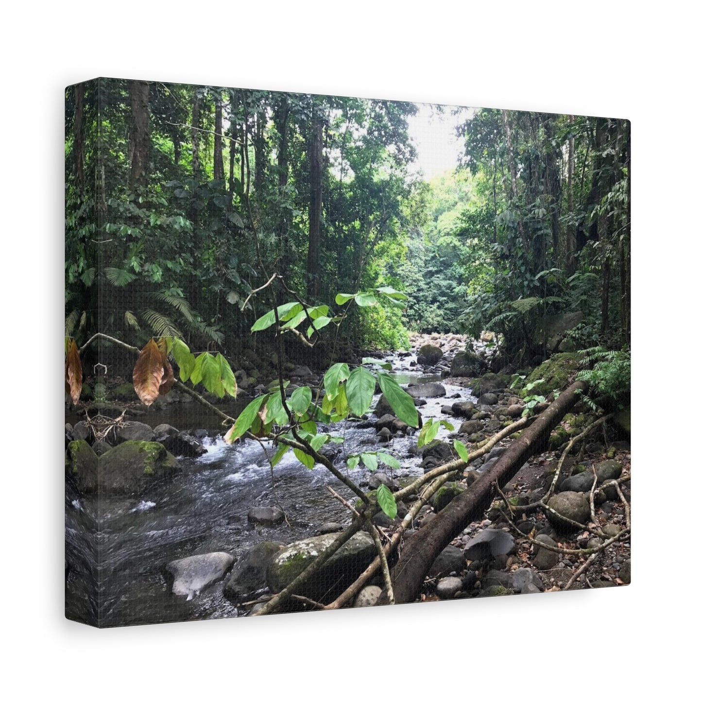 Nature-Inspired Matte Canvas Wall Art - Serene River Scene