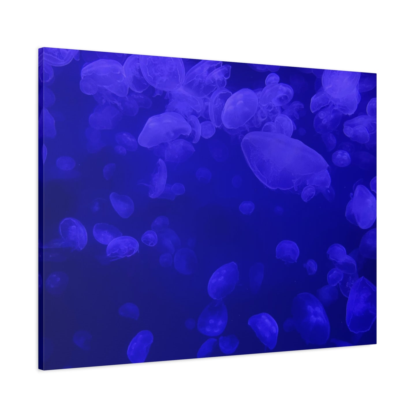 Jellyfish Watercolor Canvas Art - Ocean Theme Wall Decor