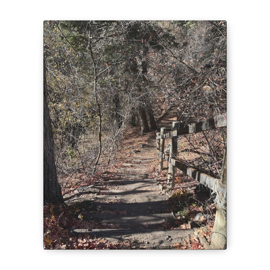 Nature Path Matte Canvas Wall Art - Tranquil Landscape Decor