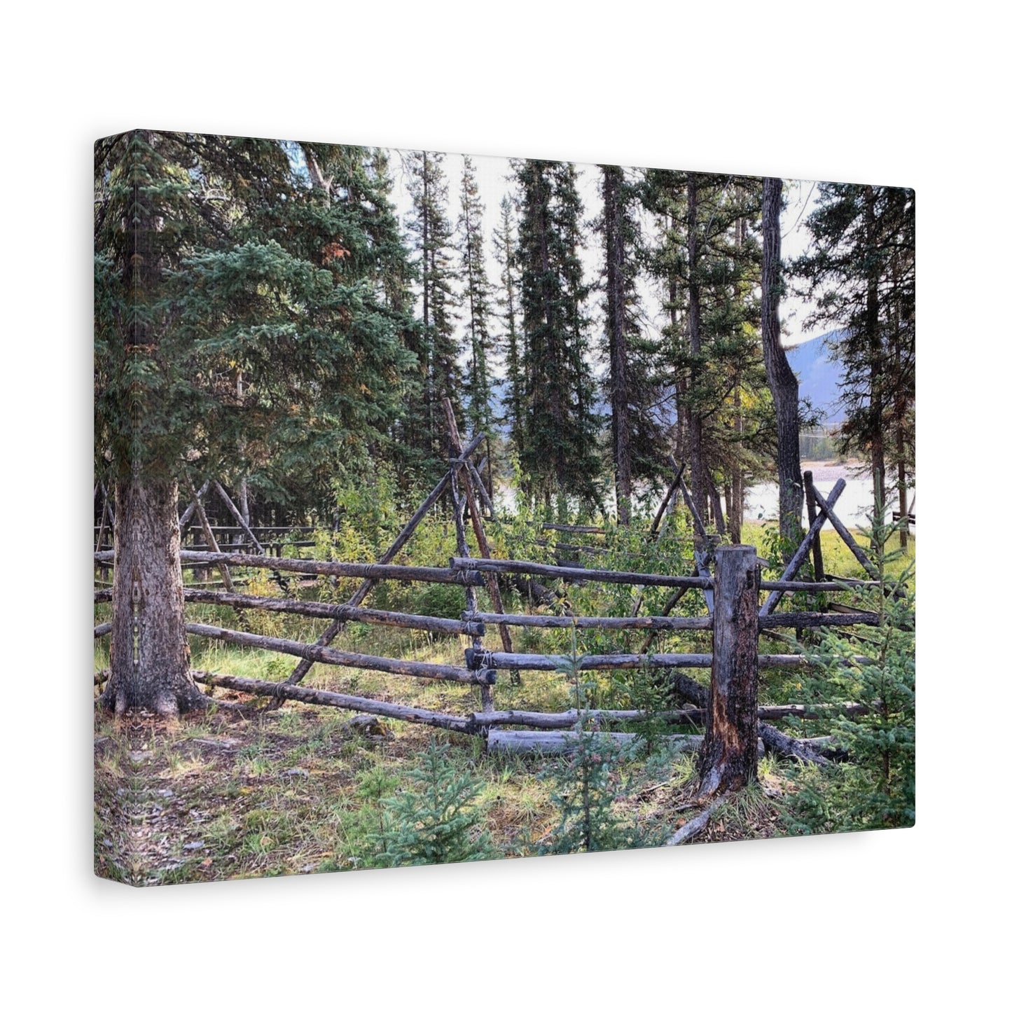 Nature-Inspired Wall Art Canvas Print - Tranquil Forest Scene