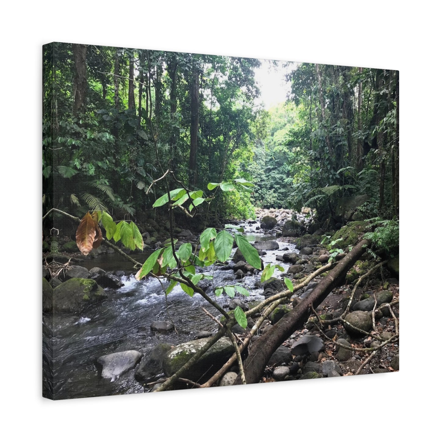 Nature-Inspired Matte Canvas Wall Art - Serene River Scene