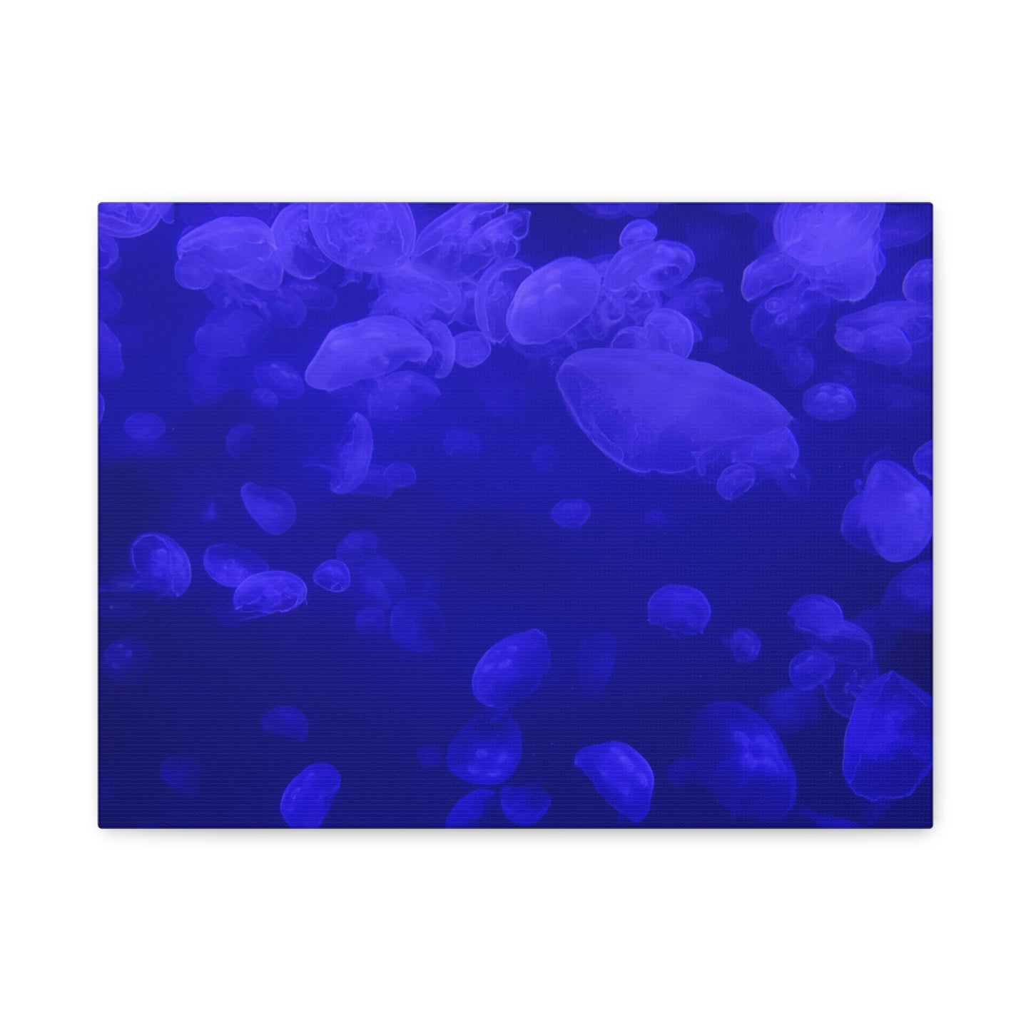 Jellyfish Watercolor Canvas Art - Ocean Theme Wall Decor