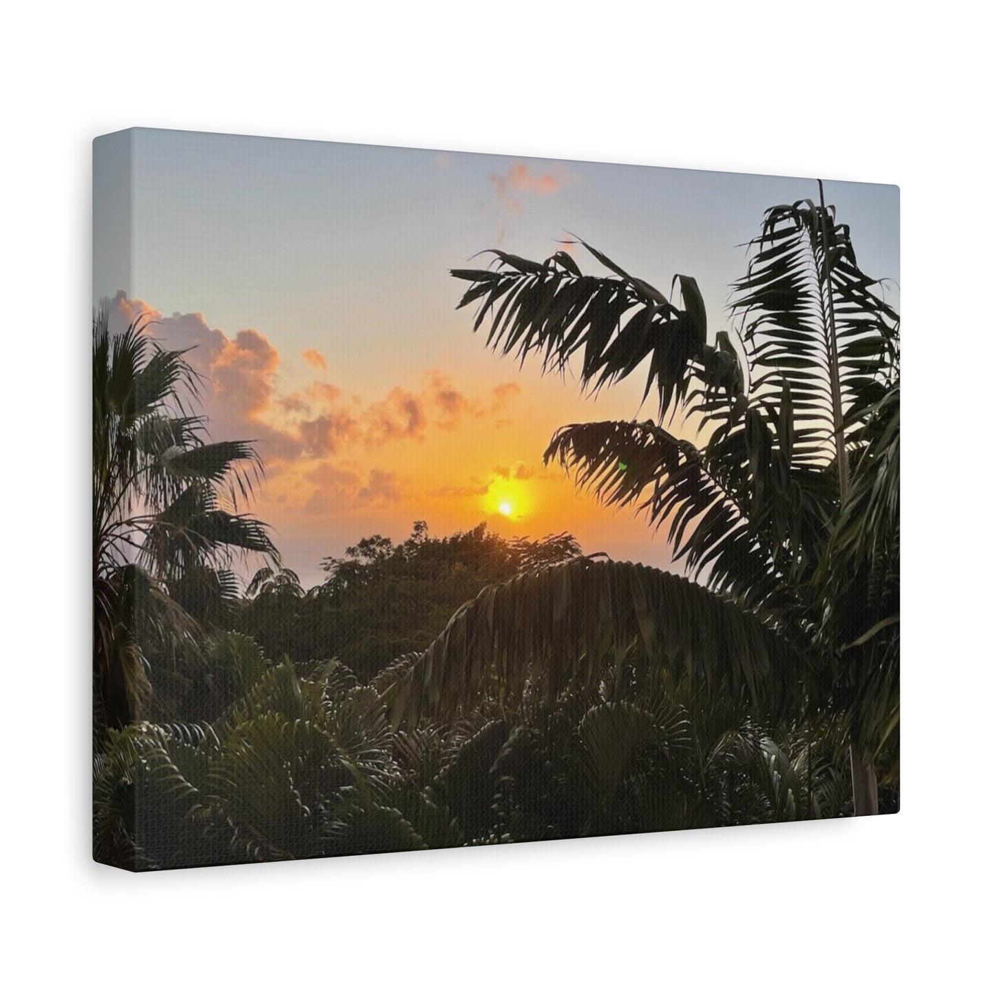 Tropical Sunset Matte Canvas - 12x16 Stretched Wall Art