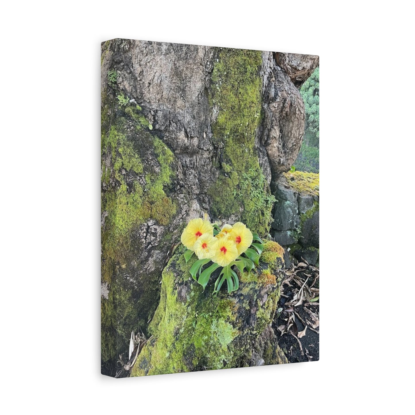 Floral Matte Canvas Art - Yellow Orchid and Moss Decor