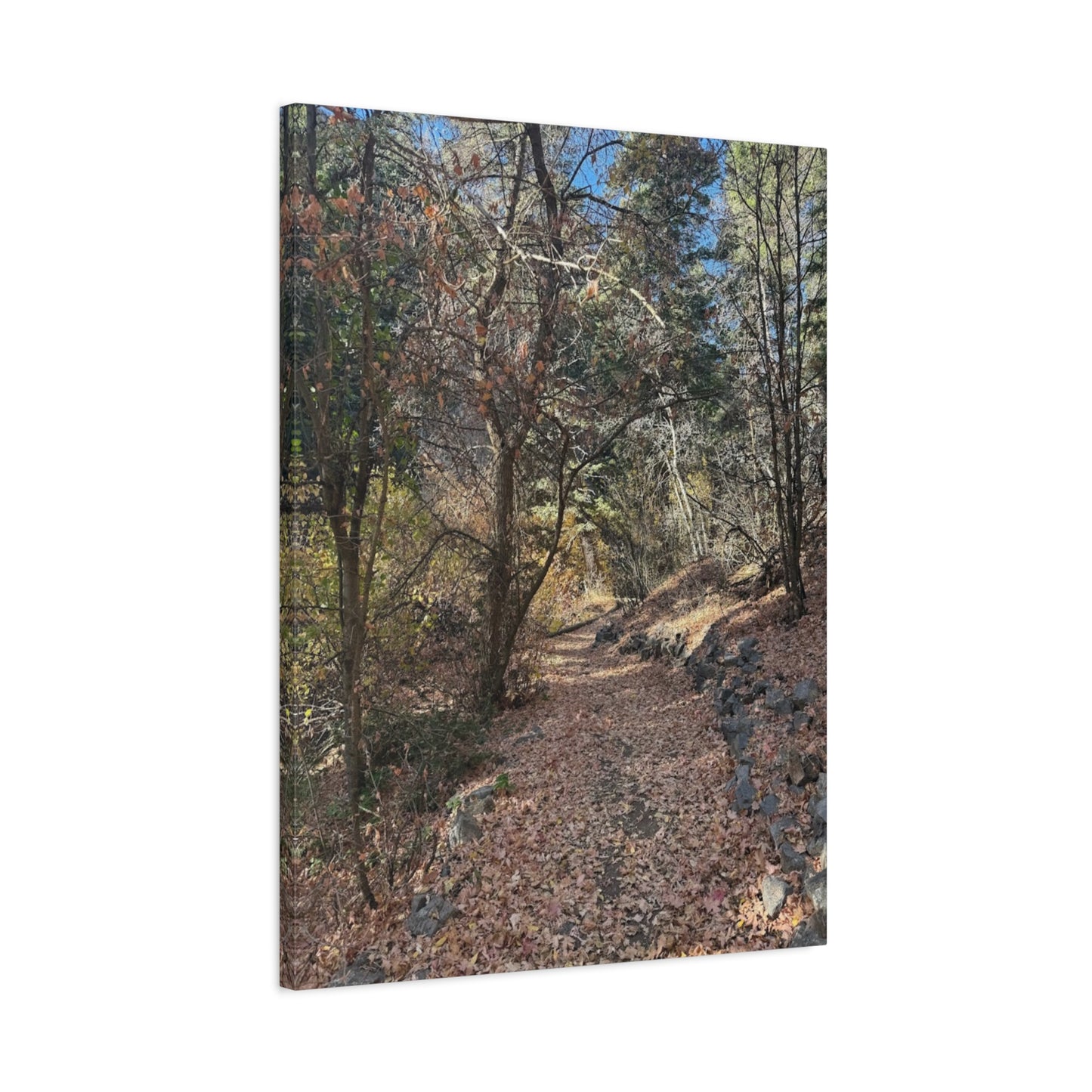 Nature-Inspired Matte Canvas Art - Stretched Wall Decor