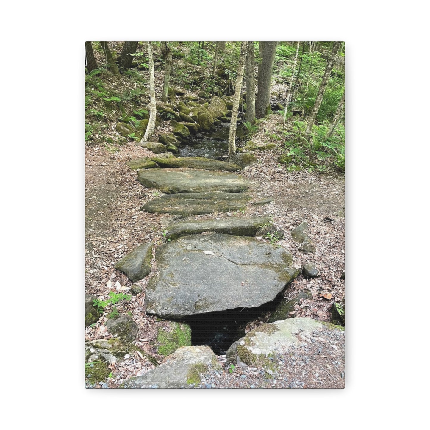 Nature-Inspired Stretched Canvas Art - Serene Stream Pathway Décor