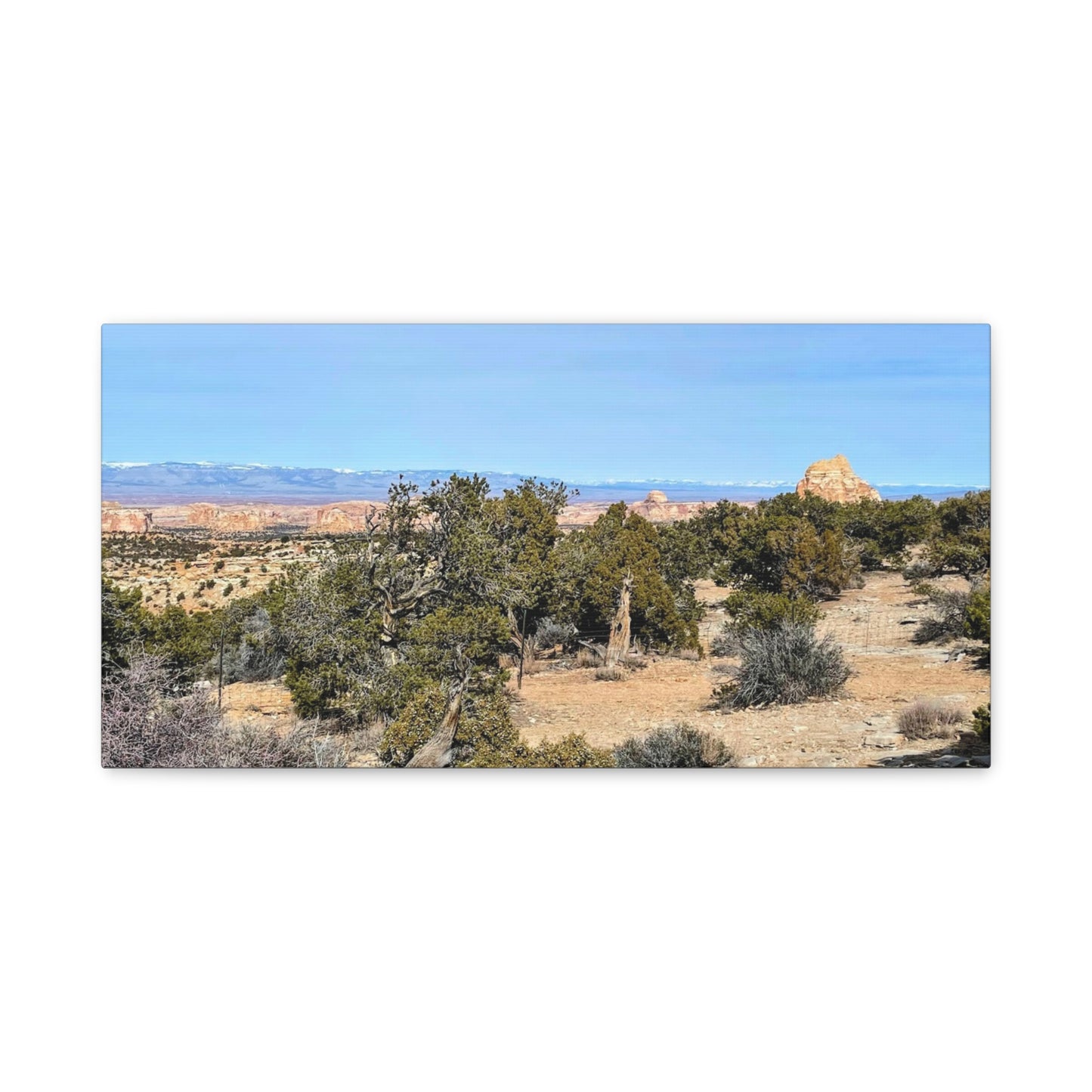 Desert Landscape Canvas Wall Art – 1.25" Matte Stretched Decor for Nature Lovers