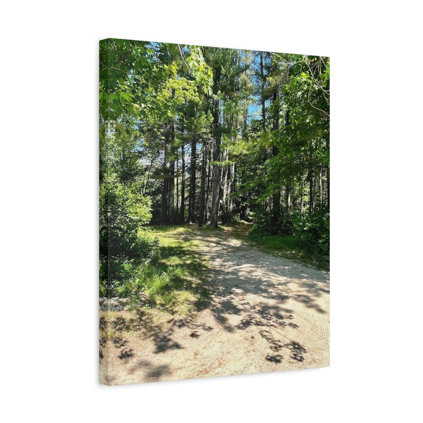 Serene Forest Path Canvas Wall Art - Tranquil Nature Decor for Home