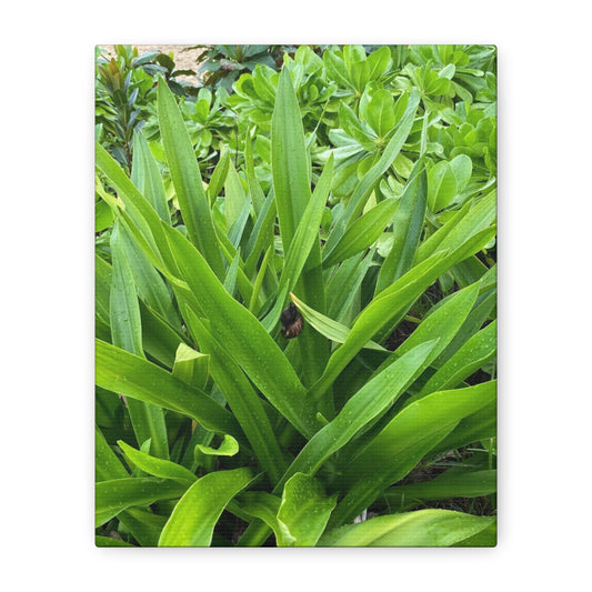 Nature-Inspired Matte Canvas Wall Art - Lush Greenery with snail