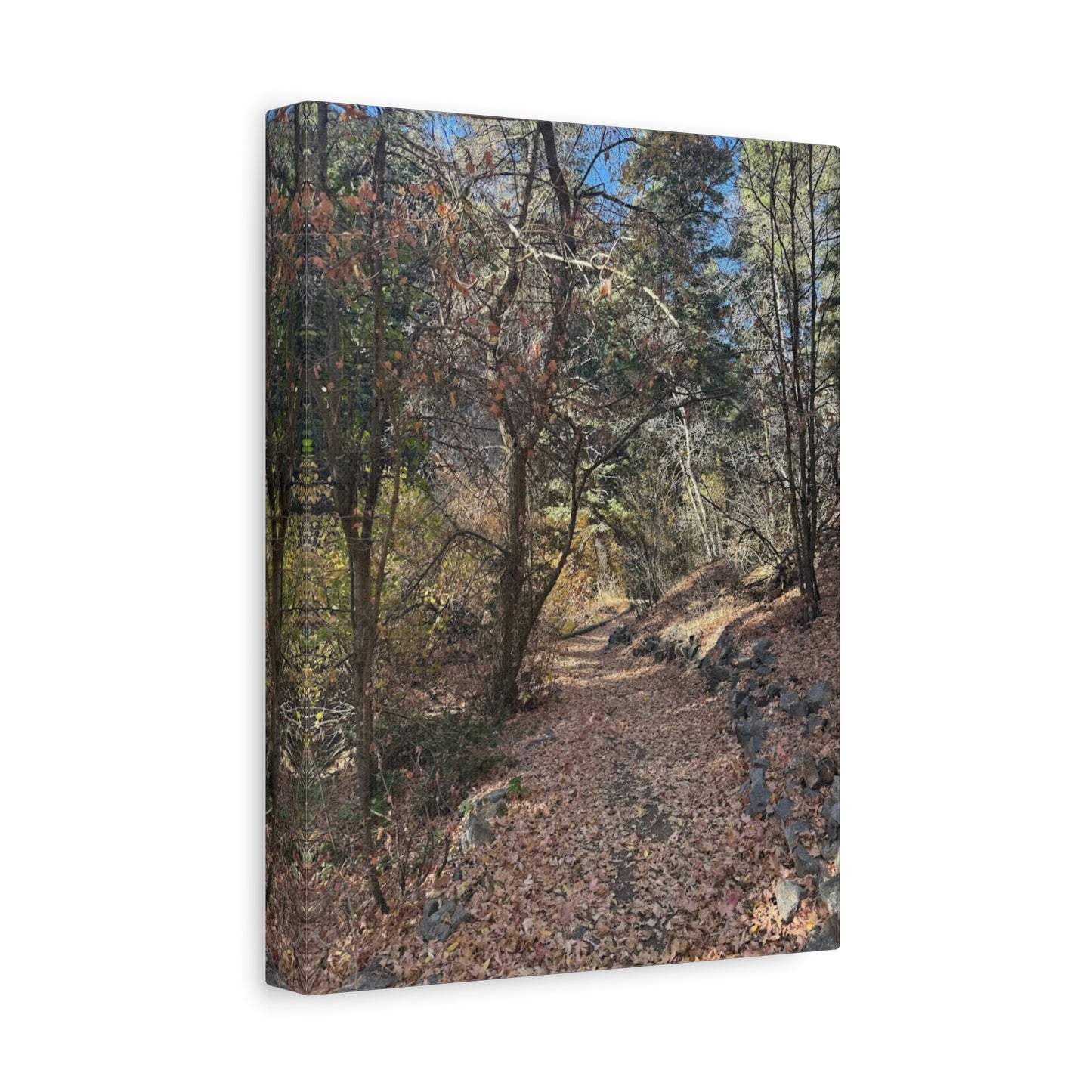 Nature-Inspired Matte Canvas Art - Stretched Wall Decor