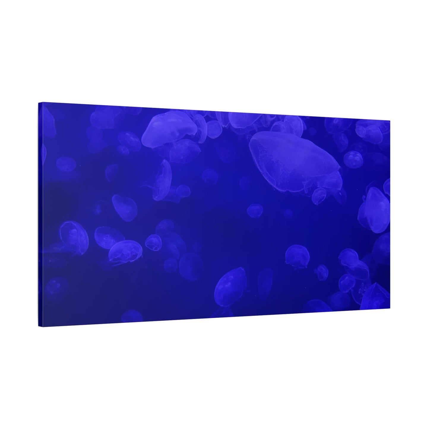 Jellyfish Watercolor Canvas Art - Ocean Theme Wall Decor
