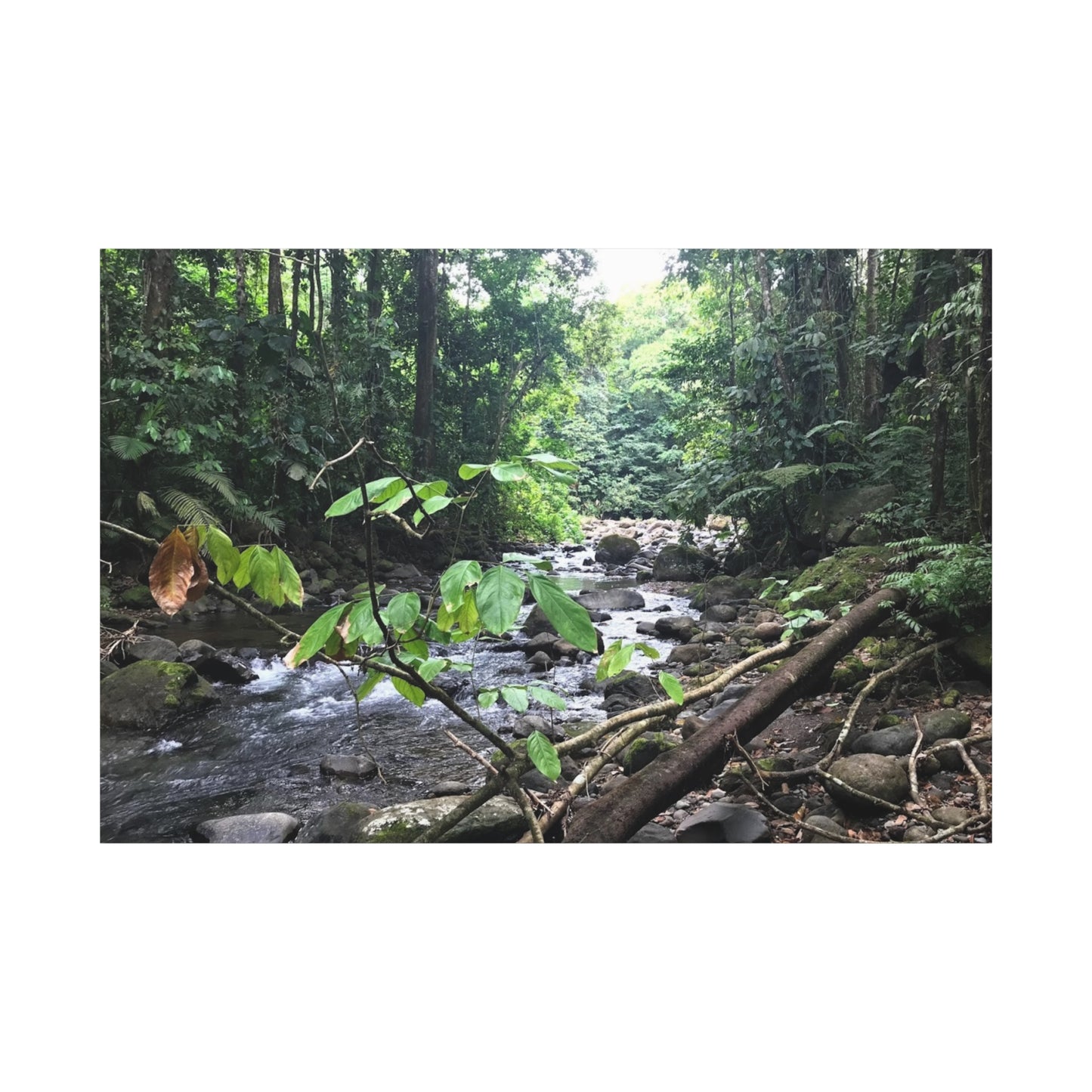 Nature-Inspired Matte Canvas Wall Art - Serene River Scene