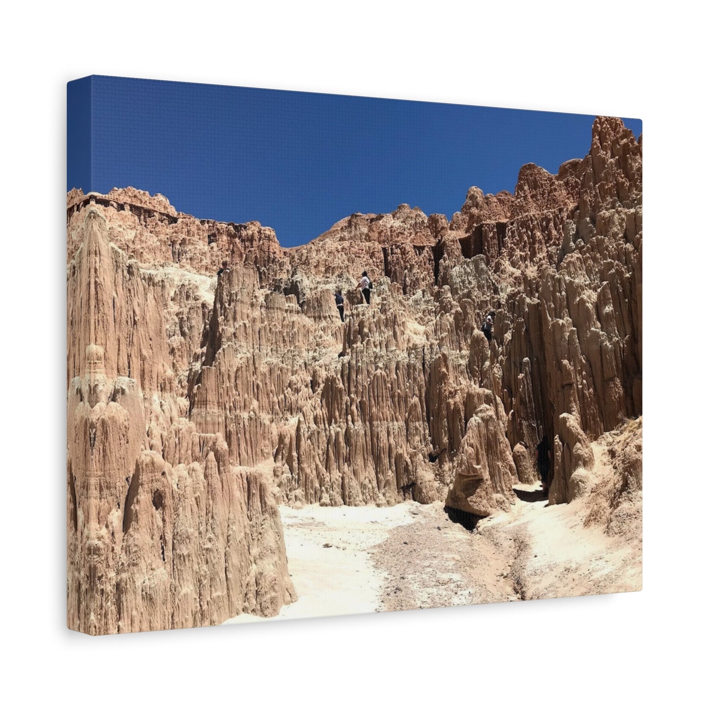 Desert Landscape Canvas Wall Art - Stretched Matte Print