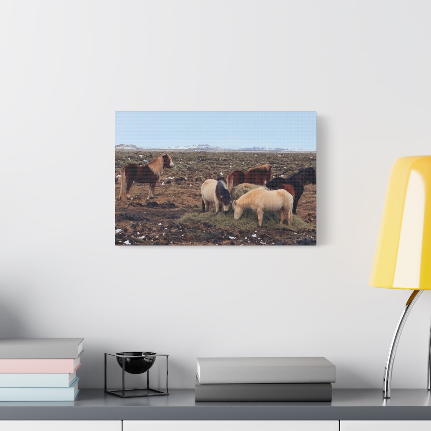 Icelandic Horse Canvas Art - Matte Stretched Print for Animal Lovers