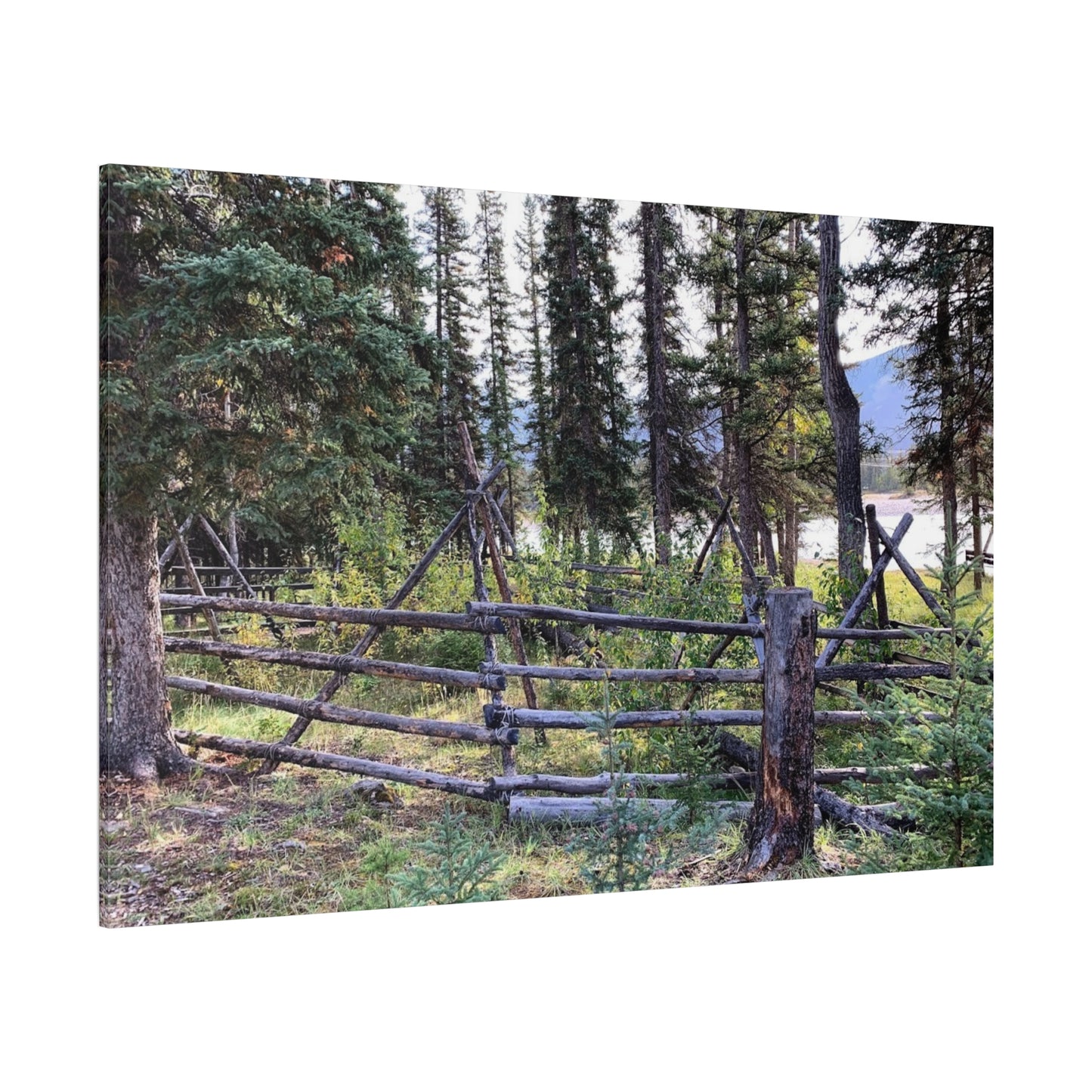 Nature-Inspired Wall Art Canvas Print - Tranquil Forest Scene
