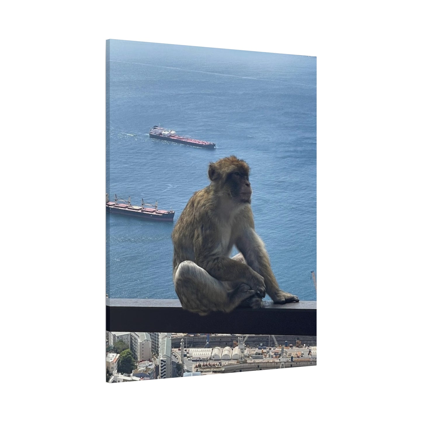 Monkeys by the Sea Canvas Art Print - Relaxing Coastal Decor Gibraltar