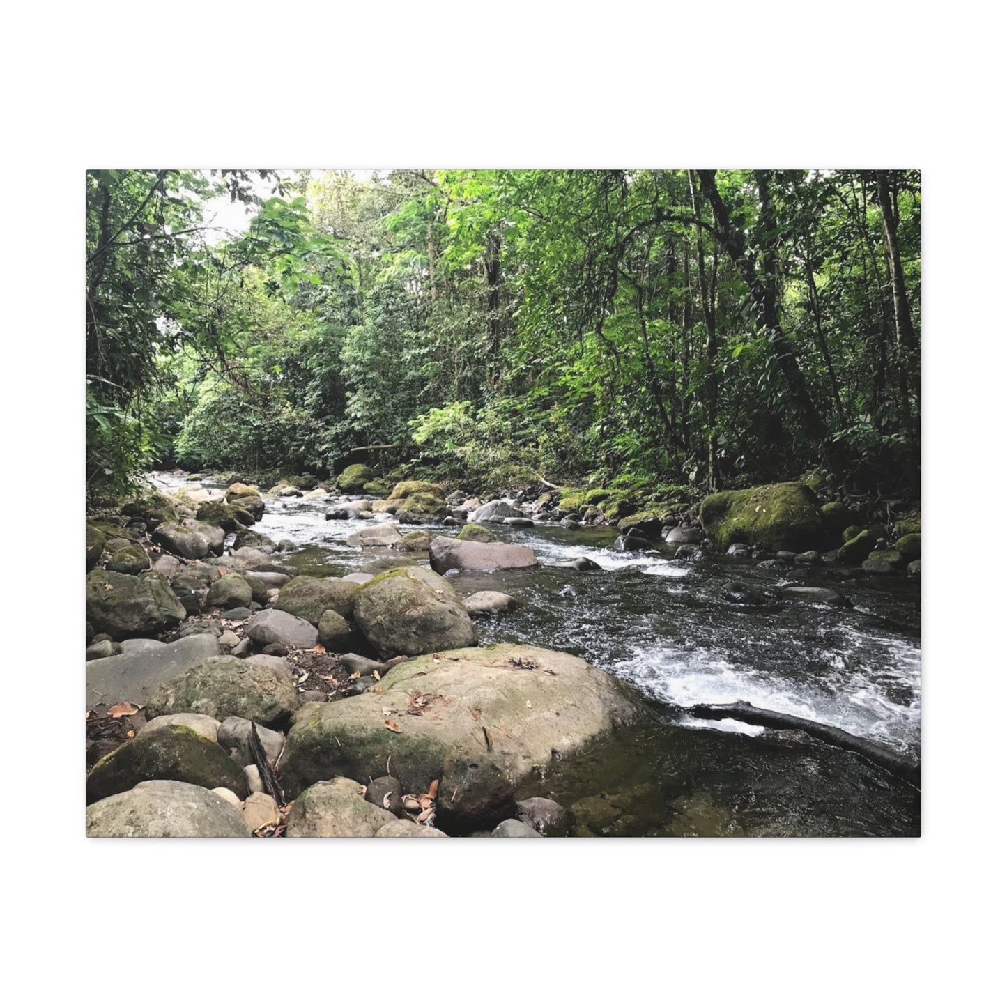 Serene Nature Canvas Wall Art – Tranquil River Landscape, 1.25" Stretched Print