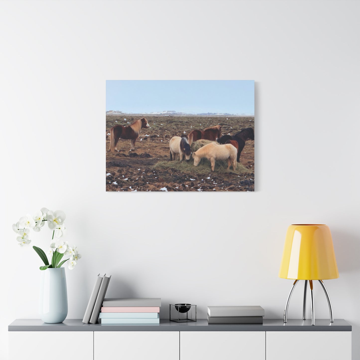 Icelandic Horse Canvas Art - Matte Stretched Print for Animal Lovers