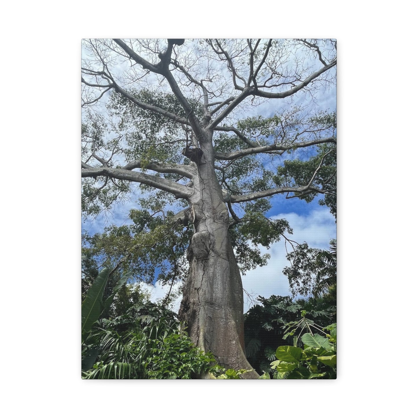 Stretched Canvas Art - Majestic Tree Wall Decor for Nature Lovers