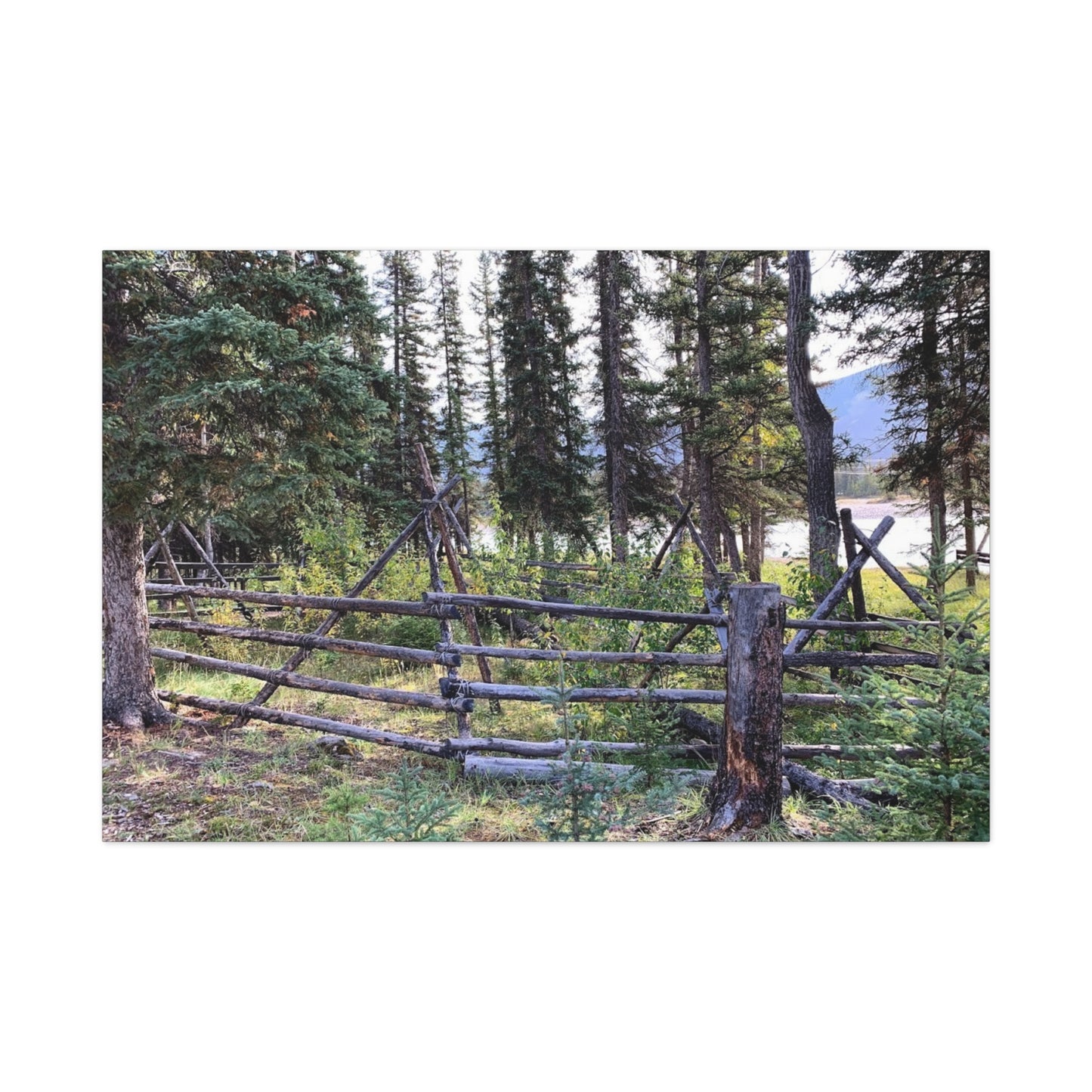 Nature-Inspired Wall Art Canvas Print - Tranquil Forest Scene