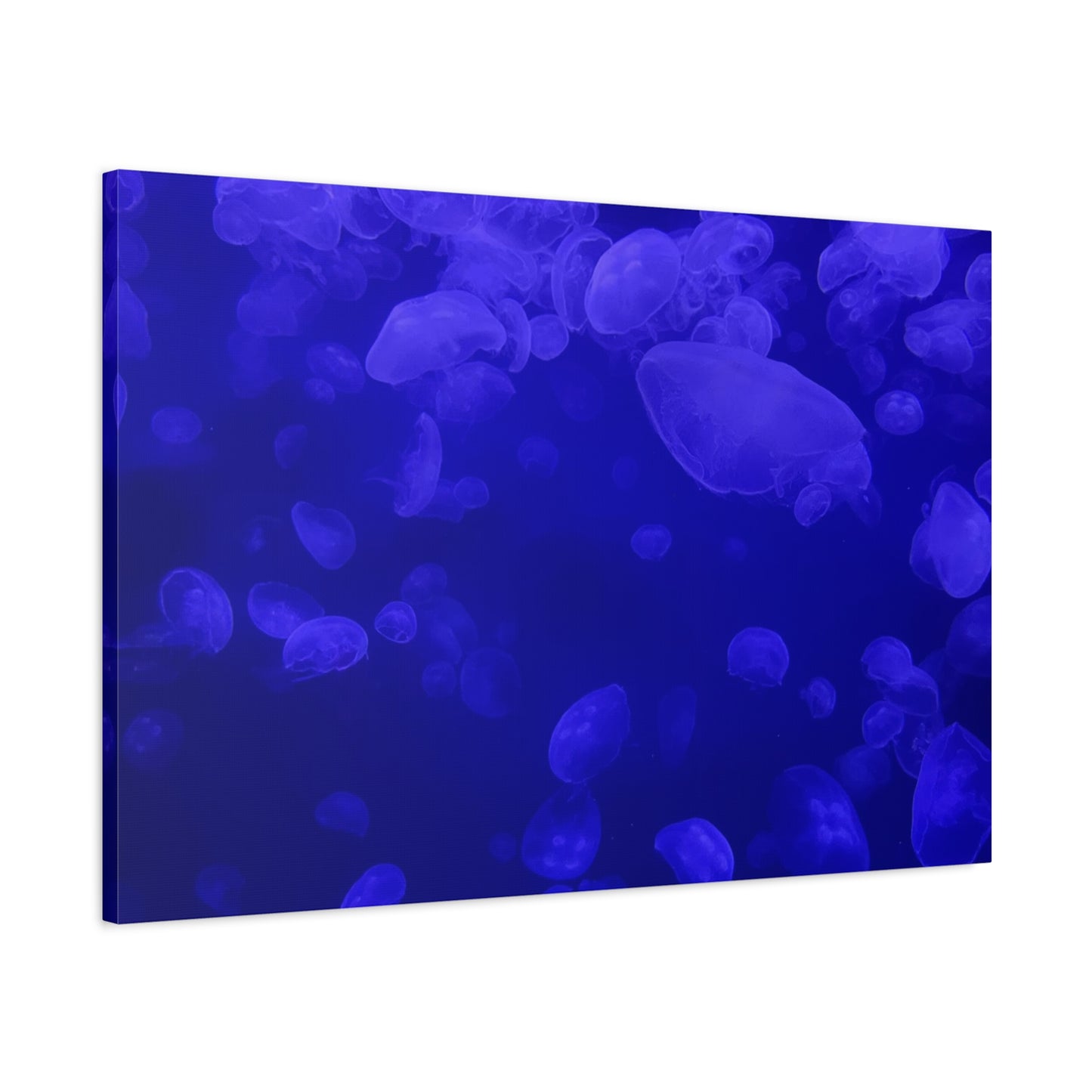 Jellyfish Watercolor Canvas Art - Ocean Theme Wall Decor