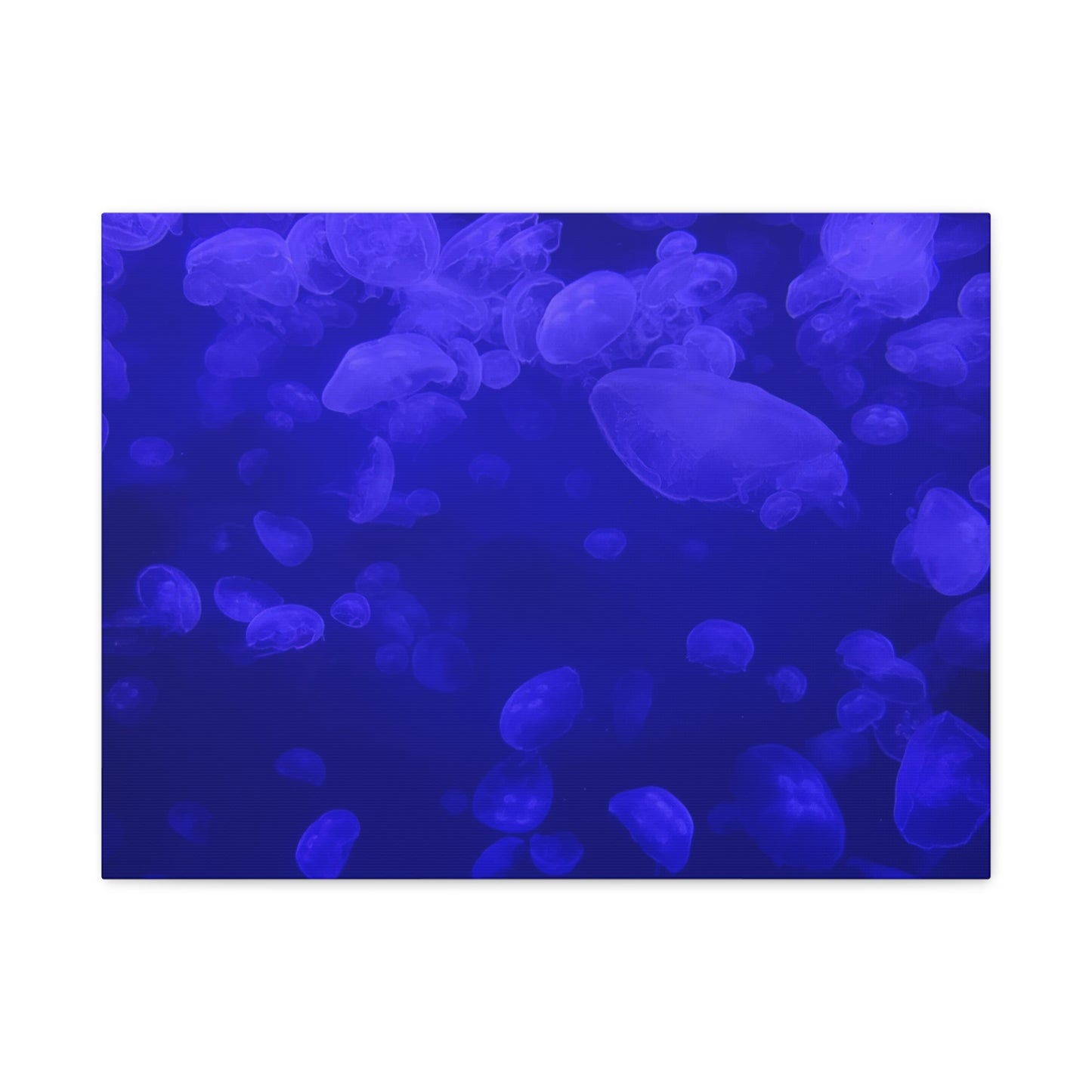 Jellyfish Watercolor Canvas Art - Ocean Theme Wall Decor