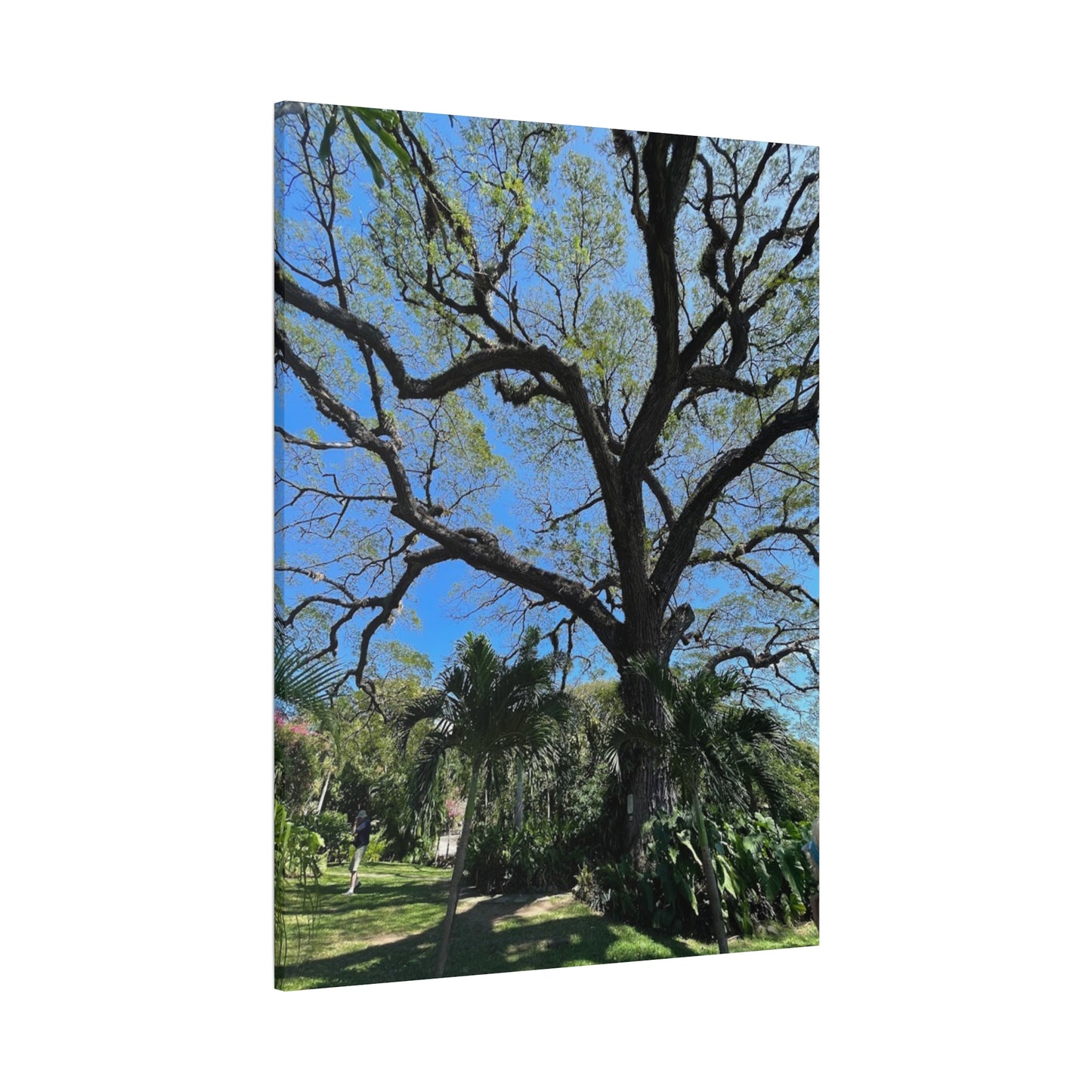 Nature-Inspired Stretched Canvas Art - Large Tree Print