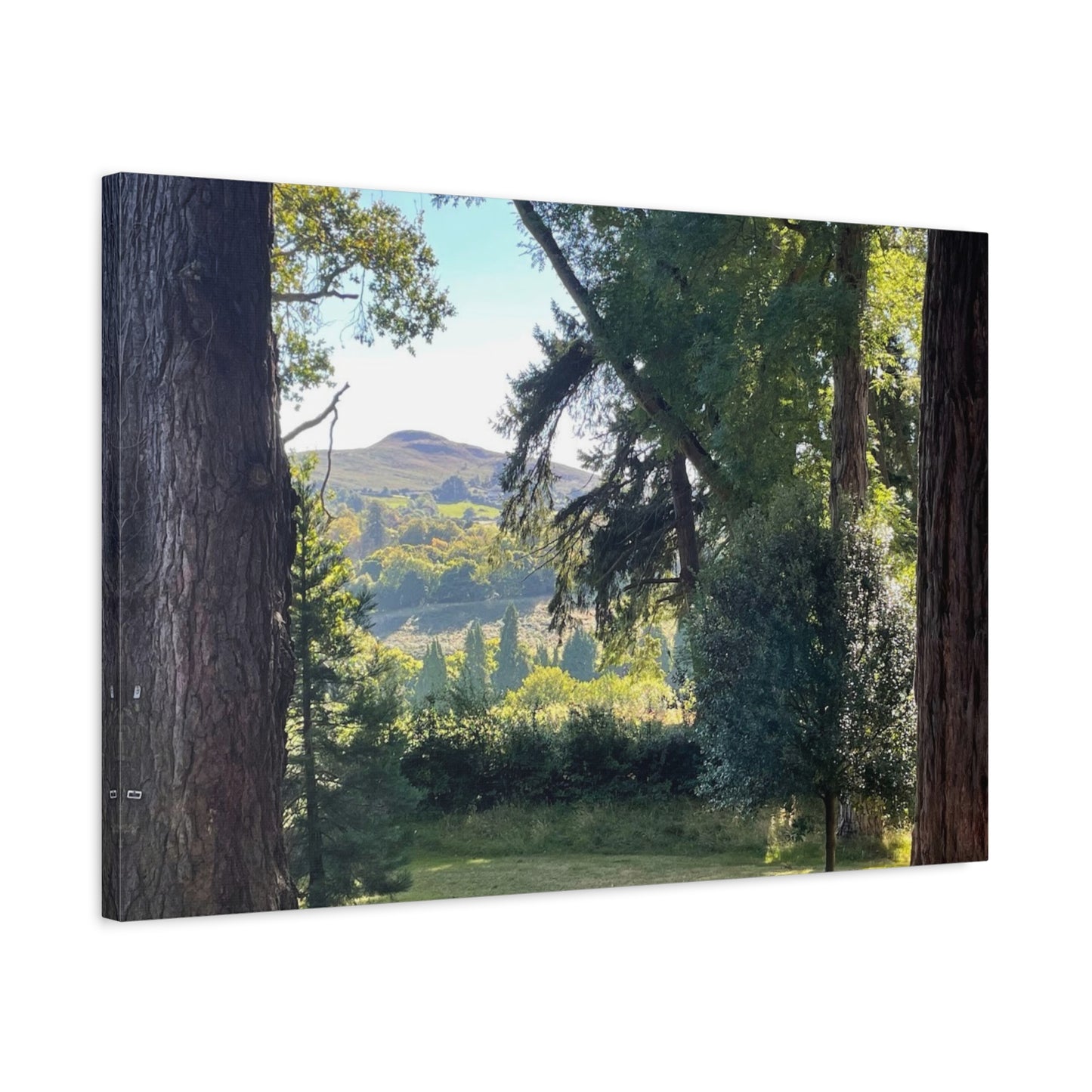 Nature-Inspired Matte Canvas Wall Art - Scenic Landscape Decor