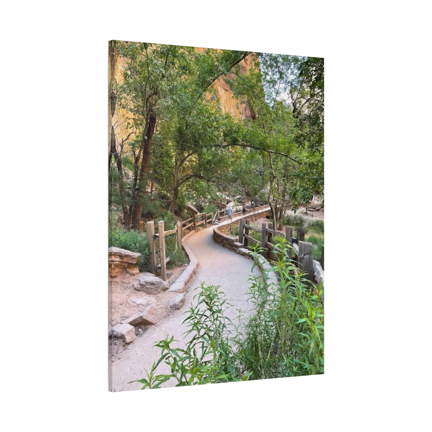 Nature Path Matte Canvas Wall Art - Scenic Landscape Decor