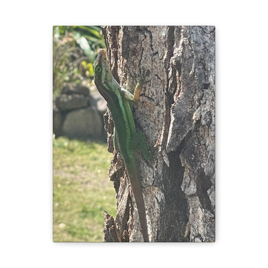 Nature-Inspired Stretched Canvas Art featuring Green Lizard on Tree